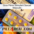 Gros Pénis Stimulant Sexuel Masculin new06